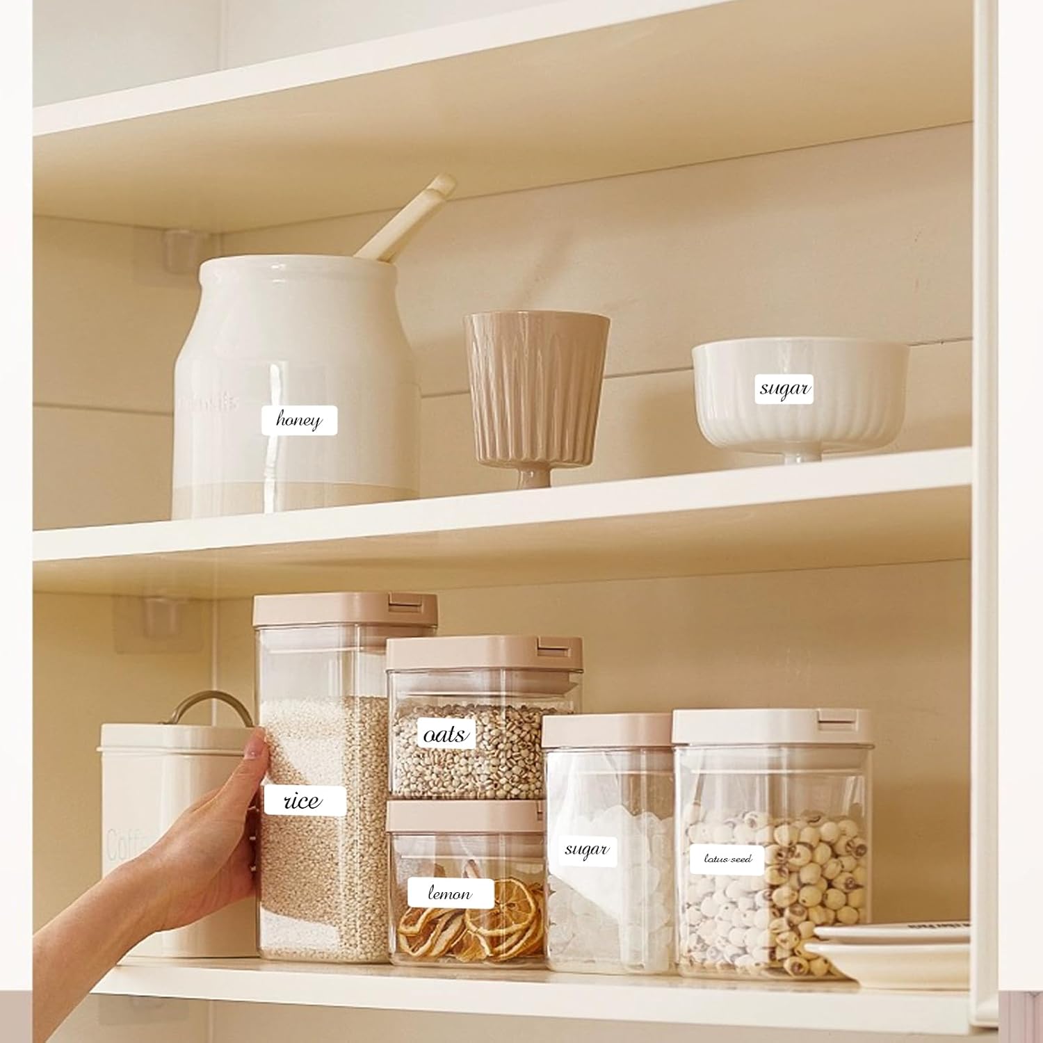 1000 Blank Removable Labels, Blank Removable Freezer Labels Water Oil Resistant with Perforation Line for Food Containers Jars Pantry Organization (Each Measures 1x 2 Inch)