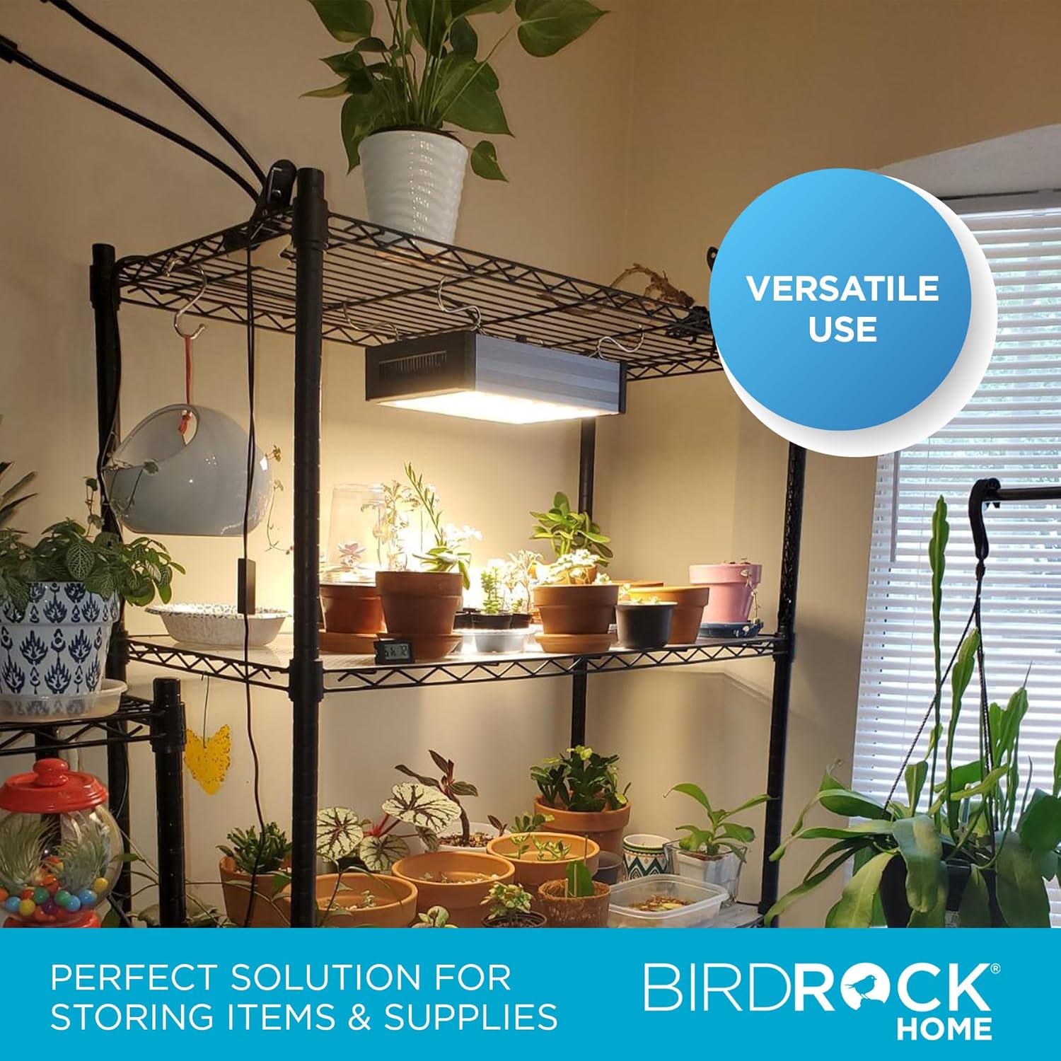 Internet's Best 5-Shelf Adjustable Wire Shelving with Shelf Liners | Heavy Duty Storage Rack | Metal Shelf for Garage, Restaurant, Industrial Use - Sturdy Steel Frame | Black | 36" W x 18" D x 72" H