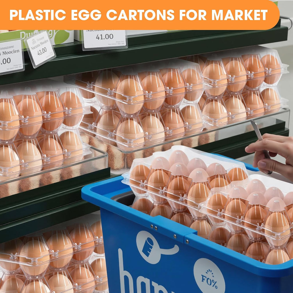100 Pack Plastic Egg Cartons Cheap Bulk,1 Dozen Clear Empty Egg Containers for Chicken Eggs 2x6 Grids, Reusable Egg Holder Egg Trays for Family, Chicken Farm, Markets Display - Medium Egg Container