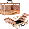 Ver Beauty Makeup Train Case 14 inch Armored Acrylic Large Portable Cosmetic Case 6 Trays Professional Storage Organizer Box Make Up Artist Jewelry Nail Kits Crafts Display Brush Holder- Rose Gold